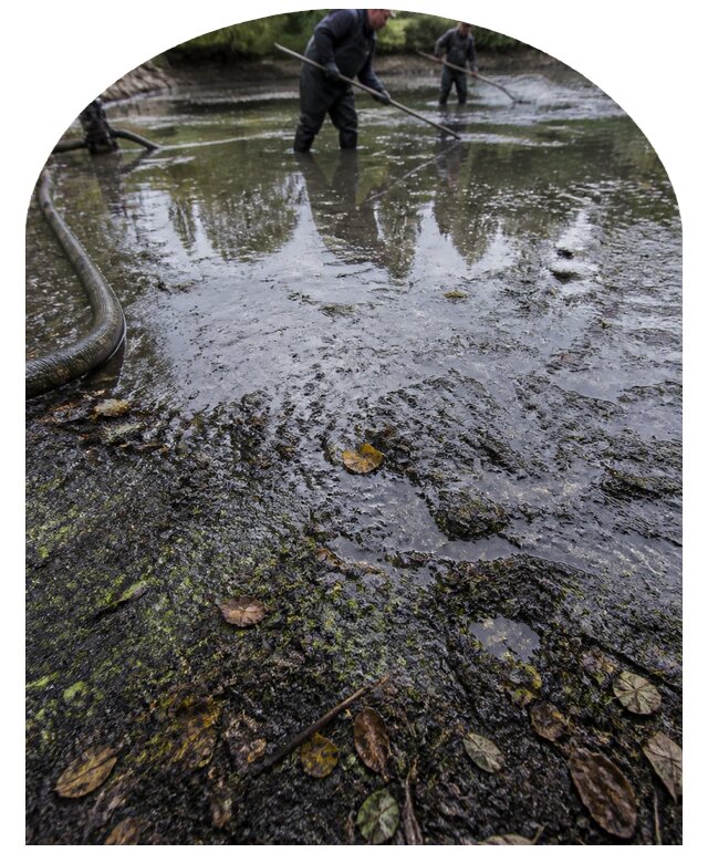 Очистка пруда в Темрюке от ила мусора и водорослей с вывозом